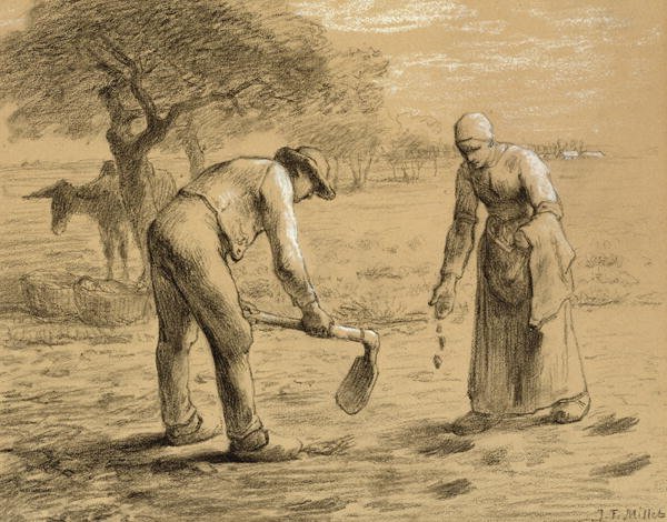 Peasants planting potatoes