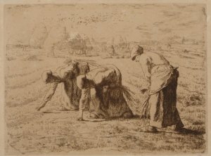 Les glaneuses (Etching)